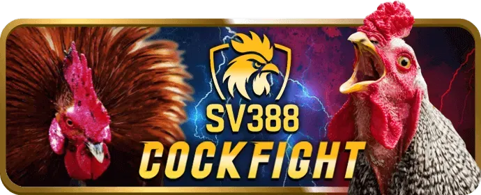 Form đăng ký b123b casino an toàn và bảo mật